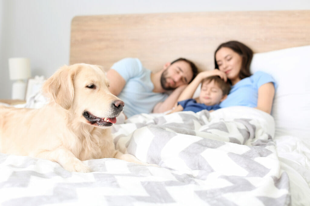 Familie die slaapt samen met een hond
